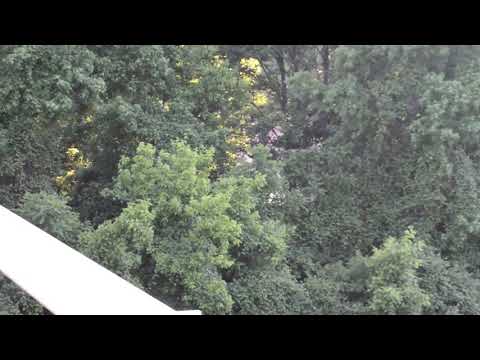 Stephanie J -Yolo (Official Music Video)