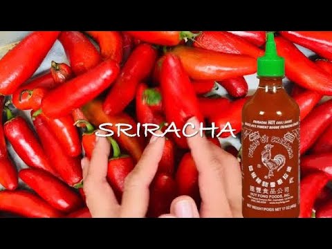 Sriracha Sauce Recipe 🌶️ I Homemade JUST Delicious