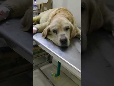 While Jacky was not well 😭