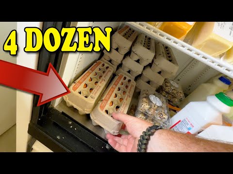 4 Dozen Eggs