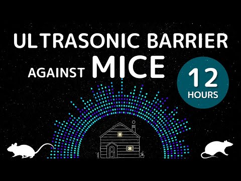 Ultrasonic Barrier against Mice | Sleep Easy All Night | 12 Hours