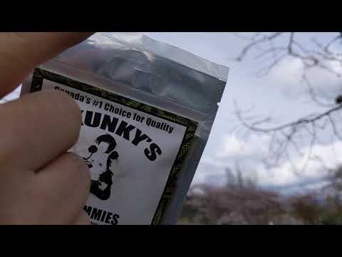 Skunky's Watermelon Pack Opening