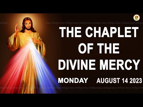Chaplet of the Divine Mercy I Monday August 14 2023 I Divine Mercy Prayer I 12.00 PM