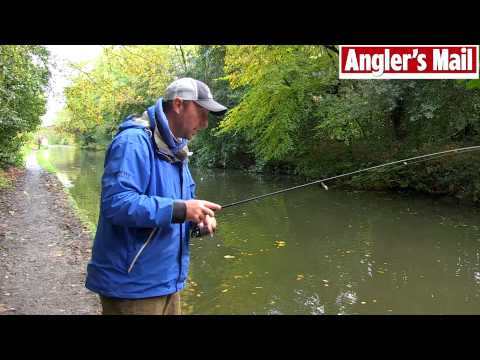 British Lure Champ's dropshotting tips