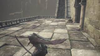 [ダークソウル3]素性対人大会前ラスト配信！優勝目指して練習だ！　合言葉7474