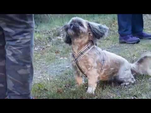 Kajsa Karlsnäsgården 161030