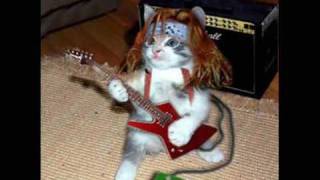 &quot;Weird Al&quot; Yankovic - Young, Dumb And Ugly Music Video