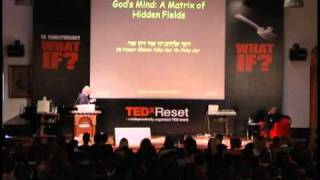 What If All Is An Illusion?: Dr Fred Alan Wolf at TEDxReset 2011