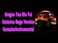 Dragostea Din Tei Katerina Begu Karaoke Intrumental (garageband cover)