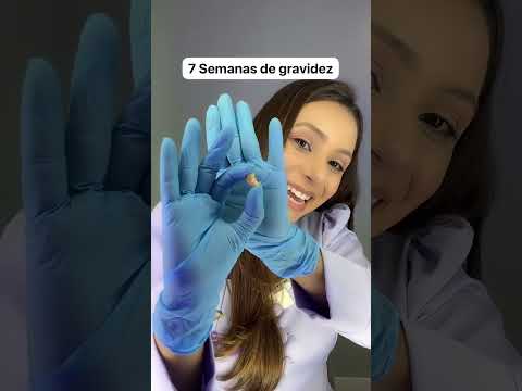 7 weeks pregnant, look at this life-size model of the fetus.