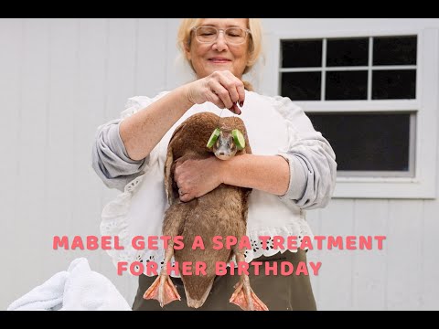 Mabel's birthday Spa Treatment