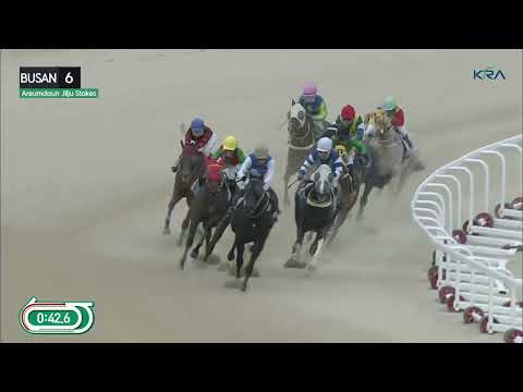 (Busan) 2023.10.08 R6 Class Open (1200M) Special Weight A - Areumdaun Jilju Stakes (KOR-L)