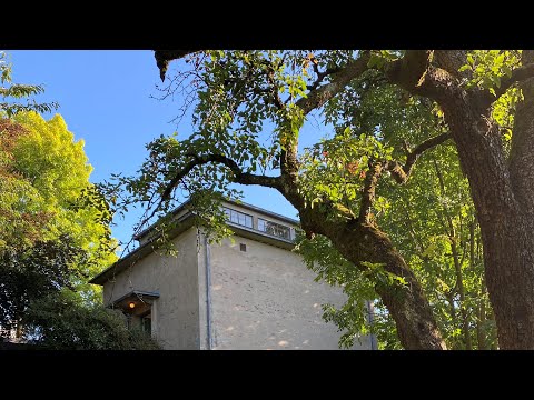 We bring Edvard Munch to you: Guided tour at Ekely