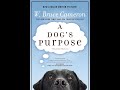 Plot summary, “A Dog's Purpose” by W. Bruce Cameron in 5 Minutes - Book Review