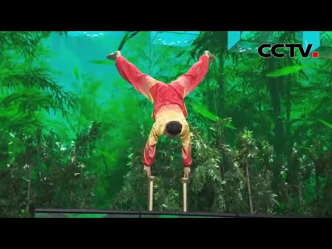 武术《天地英雄》：二指禅定乾坤 「春晚揭秘」| CCTV春晚