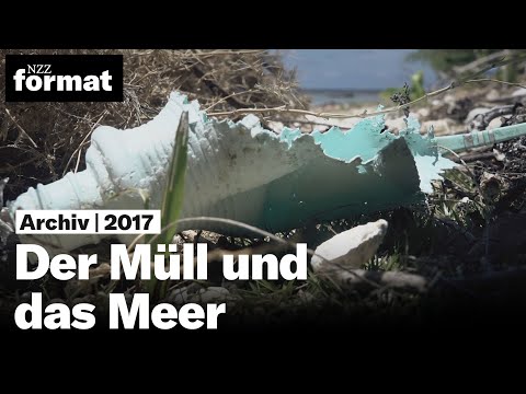 Der Müll und das Meer (2017)