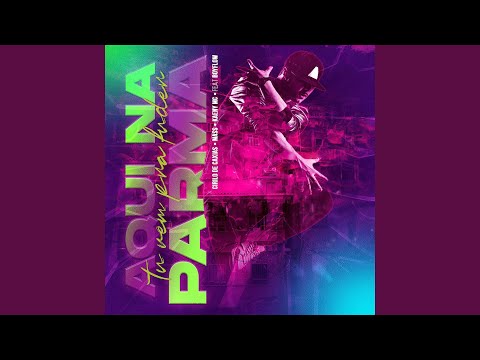 Aqui Na Parma Tu Vem Pra Fuder (Flow Vision 2)