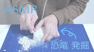 [No Talking] 恐竜発掘 [ASMR] Excavation Kit