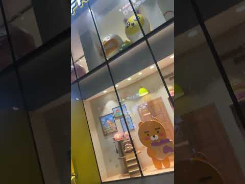 amigos kakao em busan nampodong