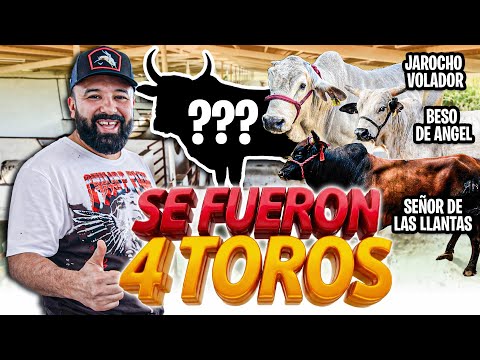 NO FUERON 3 FUERON 4 LOS QUE SE FUERON - Rancho el Aguaje #VentaDeToros