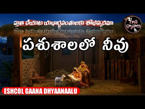 పశుశాలలో నీవు.Pashushaalalo neevu.Telugu Christian song.