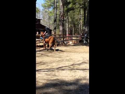 Barrel racing Johnny's revenge by crown the empire