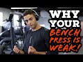 How to increase your bench press. | Business/life update.