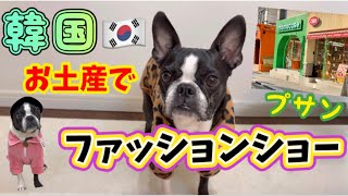 【韓国発🇰🇷】ねぇねのお土産で韓国女子になってみました💕🐶　おまけ動画あり😆　@oreo_channel 