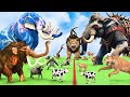 5 Giant Mammoth Elephant Cow Vs Giant Indian Elephant Vs 5 Giant Lion Tiger Saved Woolly Mammoth