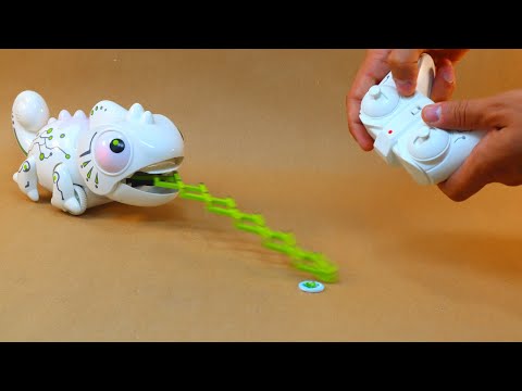 RC Chameleon - Hungry Robotic Chameleon test