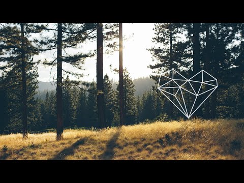 Da Luka - Libra (Erdi Irmak Remix) [Organic House/ Visceral Records]