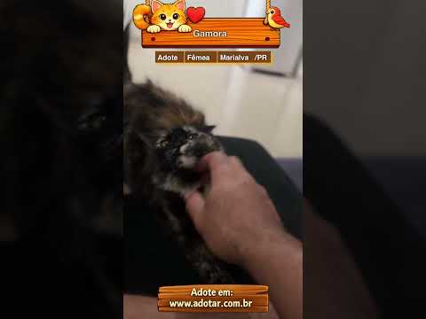 Vídeo de Gamora