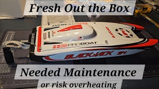 The New Proboat Blackjack 24 - It Requires Maintenance before Running! 