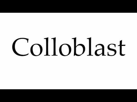 How to Pronounce Colloblast