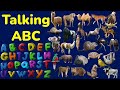 ABC Animal Alphabets Talking ABC A Z Talking Animals 2 Talking Animals Interactive AI Video