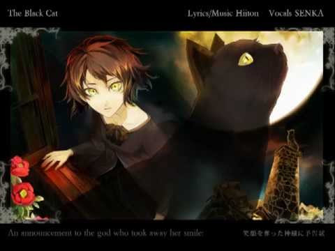 Black Cat [Senka][fanmade cover][english sub]