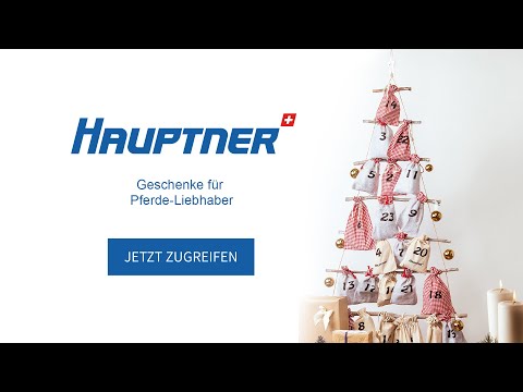 ADVENTSKALENDER VON HAUPTNER Für Pferde-Liebhaber