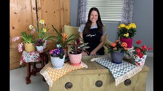 Let's Grow: Spring Flowering Plants ENGLISH GARDENS