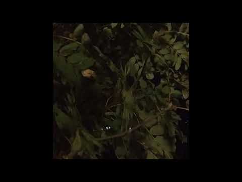 94. Vegard - OppNed [Upside down] [27.09.2017]