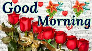Good morning video - Beautiful & sweet whatsapp video,Greetings, Wishes, Hindi Quotes, love status