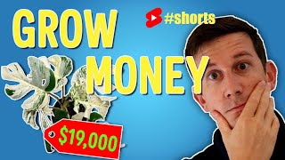 Selling Plants | Seriously High Growth Business #shorts