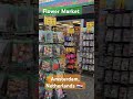 Flowers Market Tour 2024 Bloemenmarkt Amsterdam Netherlands Travel Flowers Garden Holland