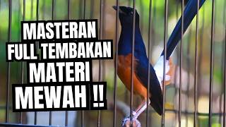 Download lagu MURAI BATU GACOR FULL ISIAN TEMBAKAN MEWAH SANGAT AMPUH MELATIH MURAI BATU EMOSI BONGKAR ISIAN mp3 Download lagu MURAI BATU GACOR FULL ISIAN TEMBAKAN MEWAH SANGAT AMPUH MELATIH MURAI BATU EMOSI BONGKAR ISIAN mp3