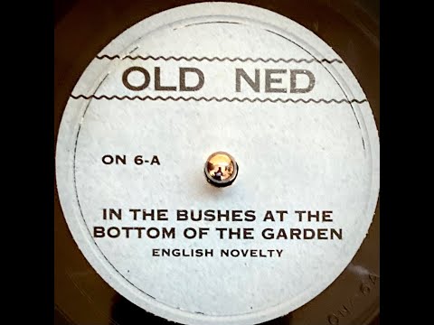 Bawdy Dance Band - IN THE BUSHES AT THE BOTTOM OF THE GARDEN