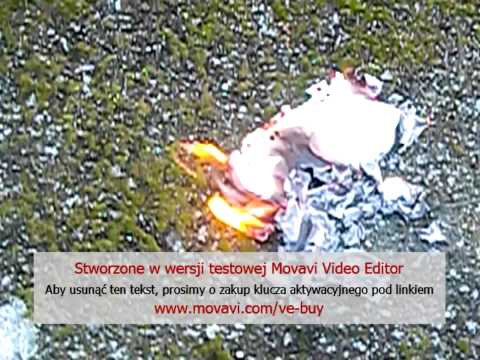 KdoK ft. M.T.K. - Kilka słów o mnie...