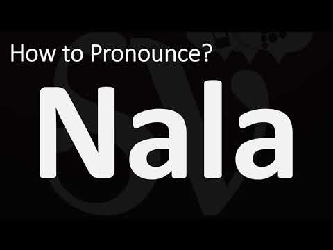 How to Pronounce Nala? (CORRECTLY)