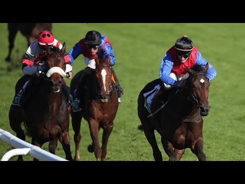 Hannover: Herbst Stuten Preis (Gruppe 3) – Siegerin: Walkaway