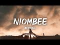 Bensoul - Niombee (Lyrics/Lyrics Video)