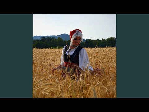 Bosilegradsko krajište