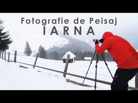 , title : 'Fotografide Peisaj Iarna | Minimalism'